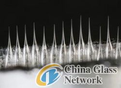 China Glass Network