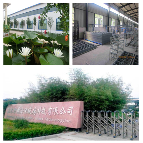 China Glass Network