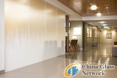 China Glass Network