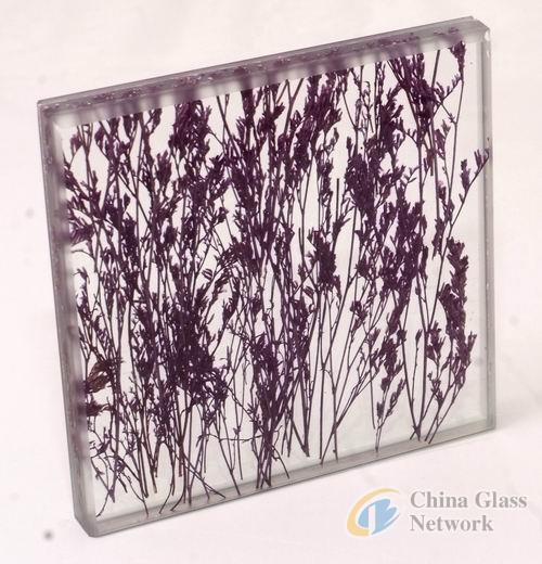 China Glass Network