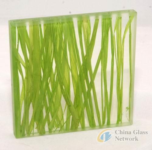 China Glass Network