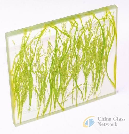 China Glass Network