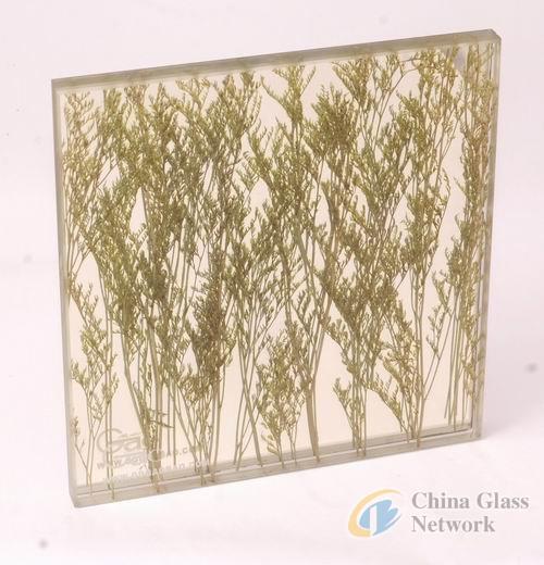 China Glass Network