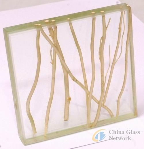 China Glass Network