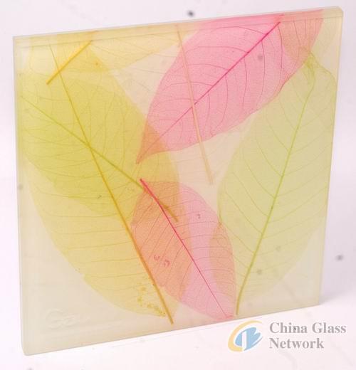 China Glass Network