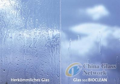 China Glass Network