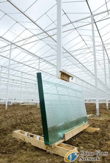 tempered glass