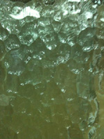 aqualite patten glass