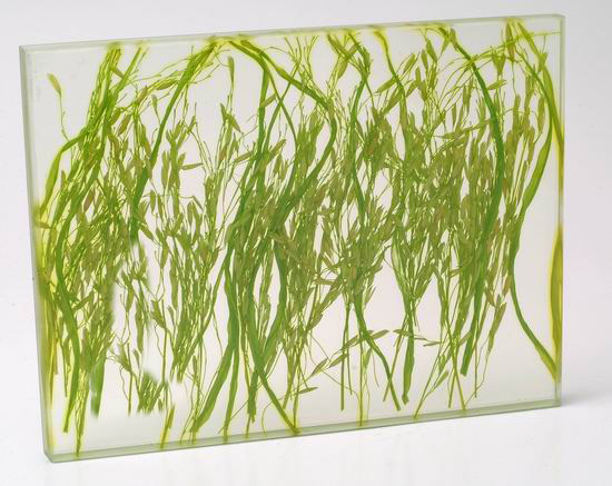 high quality art glass for wall