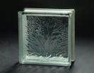 Coral Glass Block