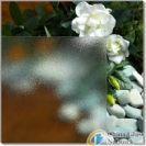 Textured glass