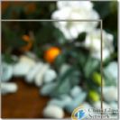 Heat-absorbing tempered Glass