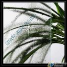 3-8mm Clear Galaxy Patterned Glass with CE & ISO9001