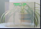 5mm Clear Reflective Glass/Window Glass/Building Glass