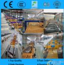 clear float glass/flat glass/