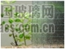 QQ??20161221090950.JPG