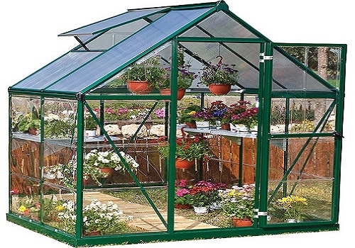 tempered greenhouse glass  (1).jpeg