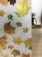 Digital Printed Glass-Maple Leaf