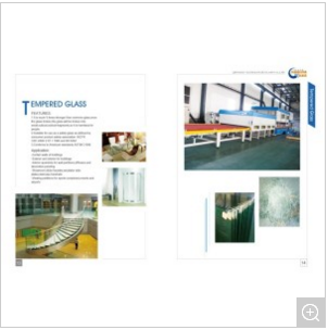 Glass Door( Temperd, Hole, Hard Ware)