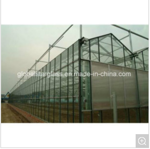 5mm Ultra Clear Tempered Glass for Greenhouse