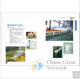 Full Toughened Glass