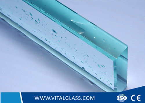 Clear Float Glass