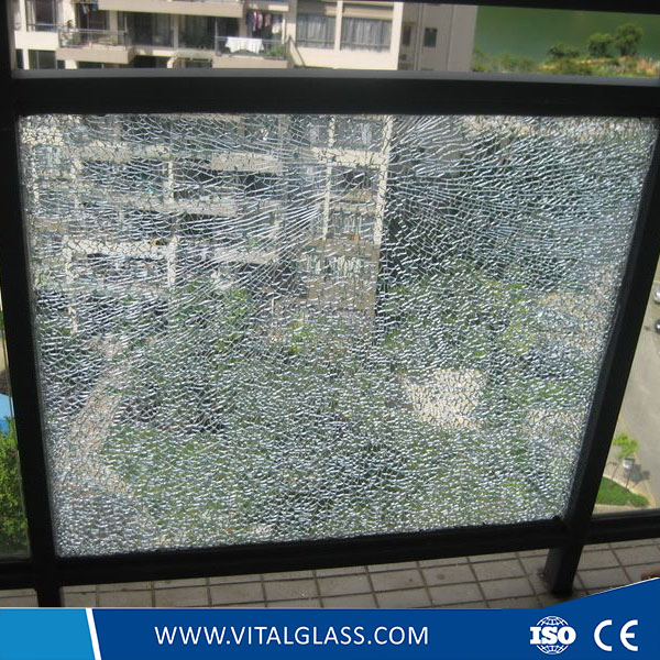 Safety Tempered Glass