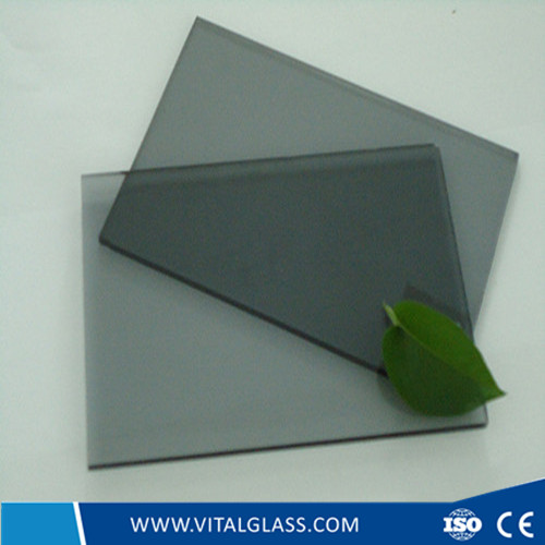 Euro grey tinted float glass