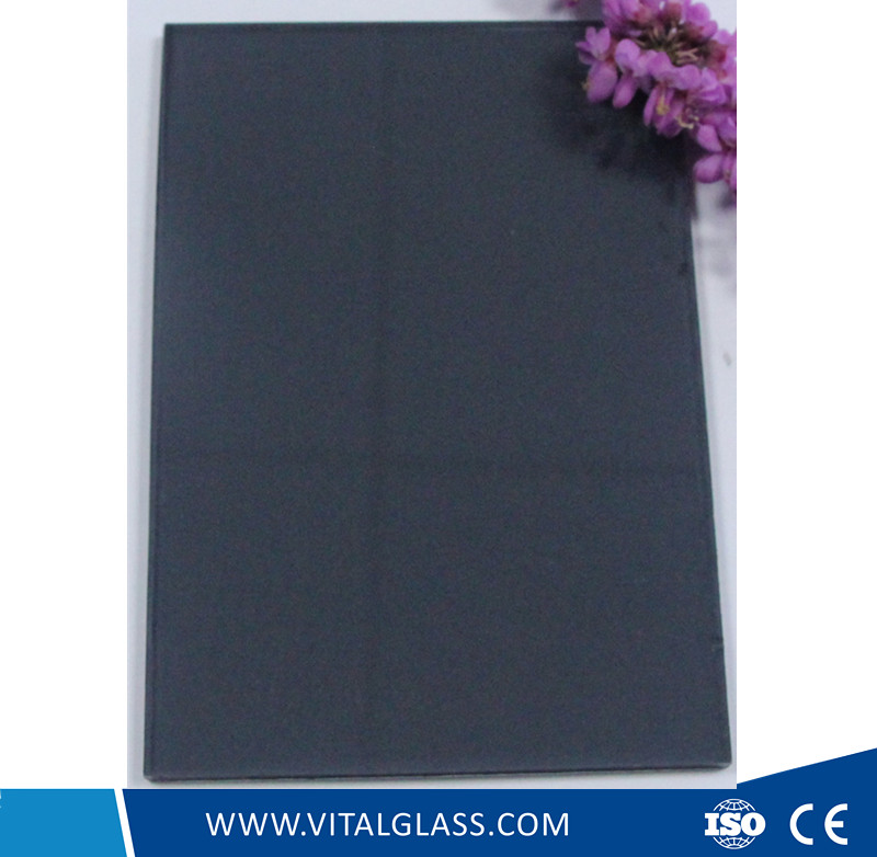 Dark Grey/Blue Laminated Glass for Building Glass