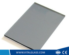 Euro grey float glass