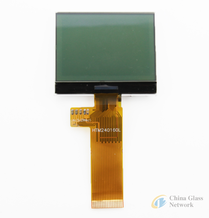 COG 240160    Graphic  LCD  Module
