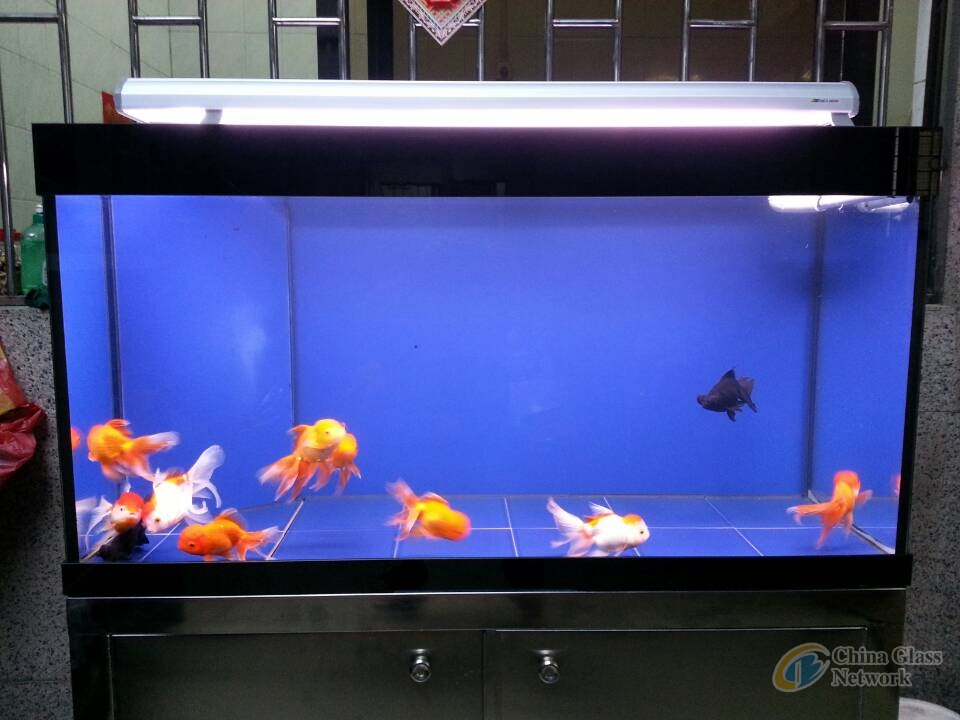 High Quality Lucid Glass Aquarium Supplies