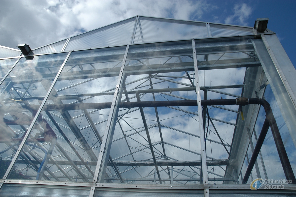 greenhouse and hobby glass