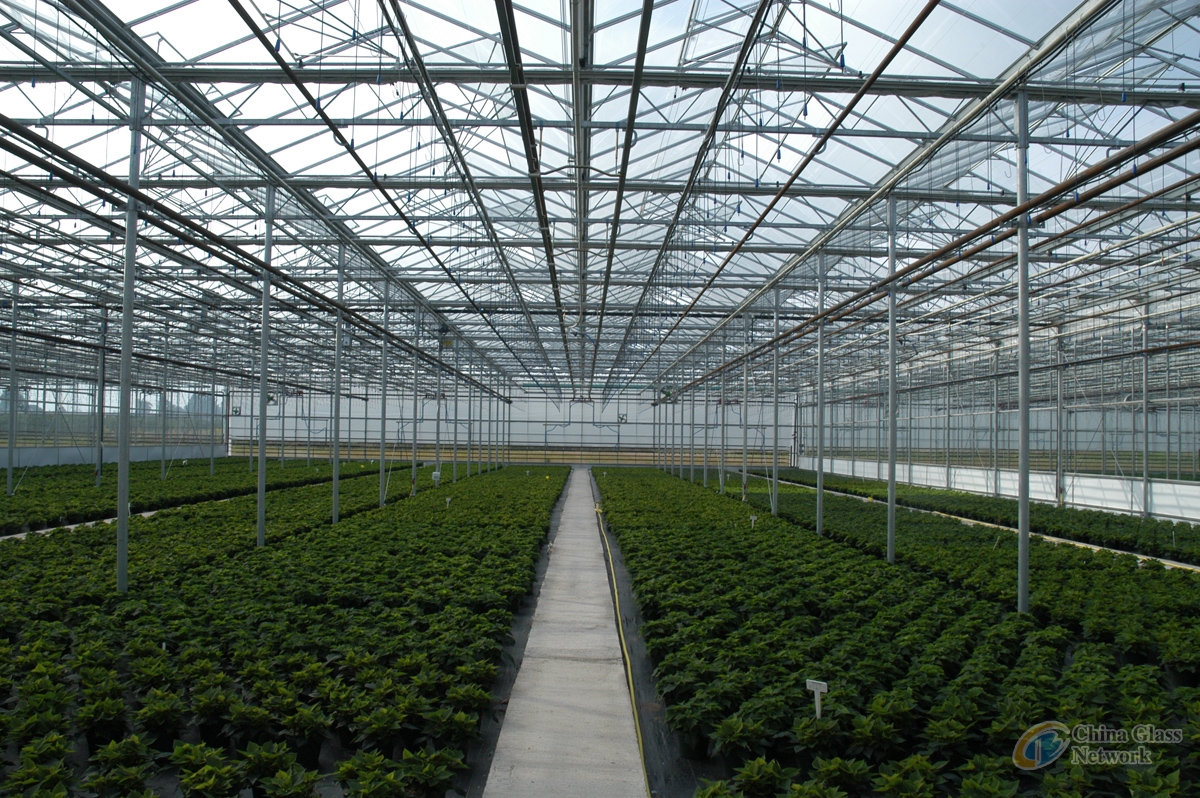 greenhouse and hobby glass