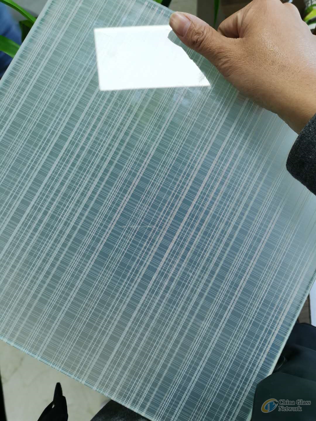  laminated silk mesh wired glass ,Laminated Tempered glass