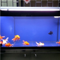 High Quality Lucid Glass Aquarium Supplies