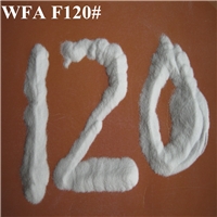 White Aluminium Oxide 120 mesh
